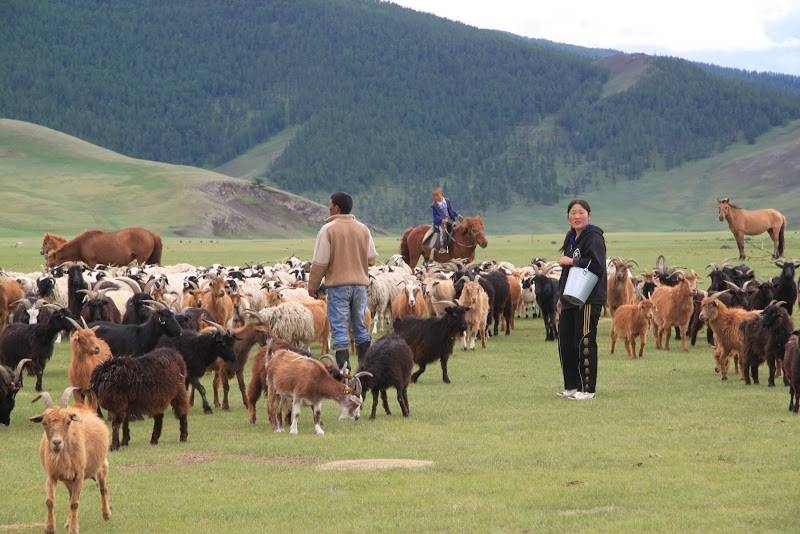 equestrian vacation in Mongolia