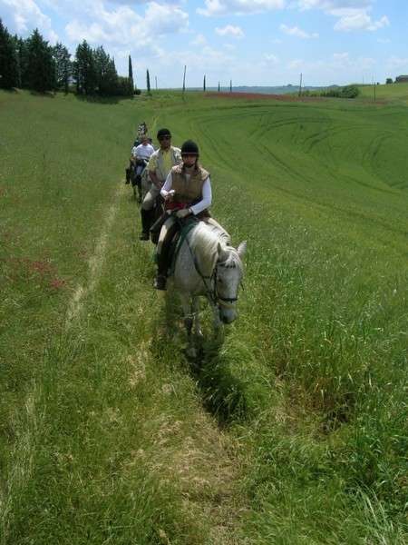 horseback trail ride in tuscany