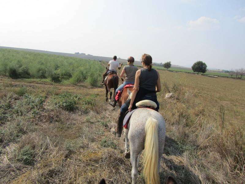 horse trail ride tuscany