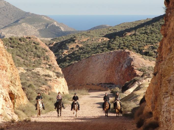 horseback riding vacation in andalusia