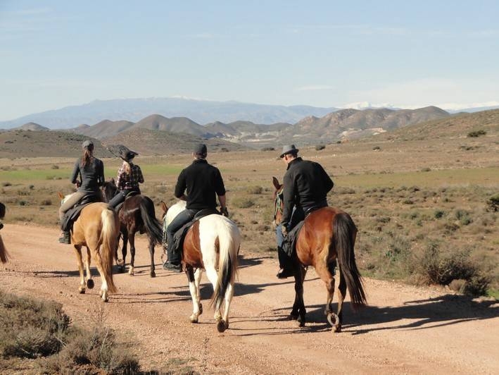 horse riding andalusia