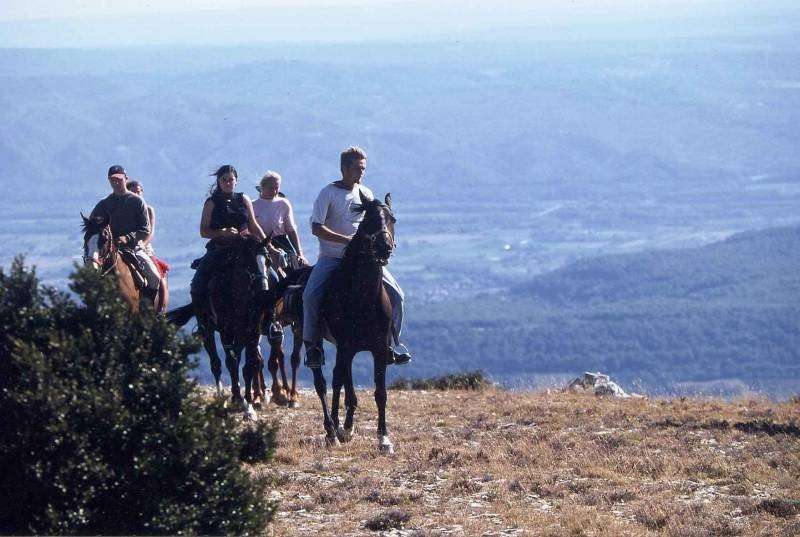 provence horseback trail ride