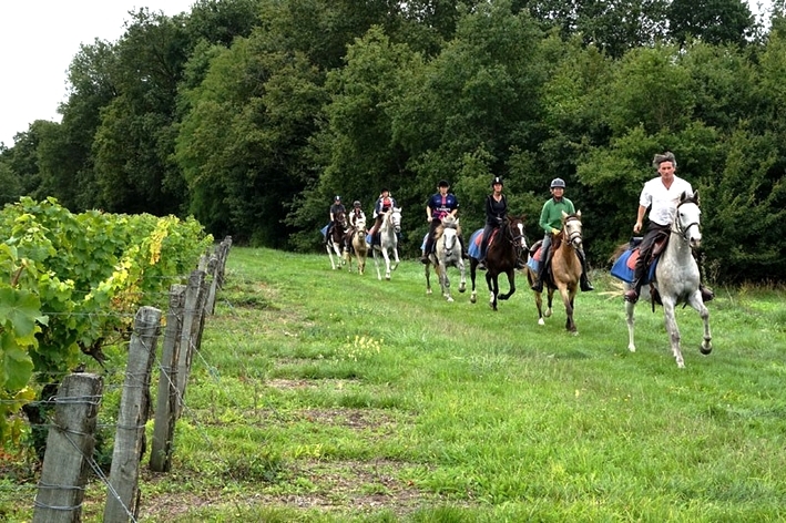 discover the loire castles horseback riding