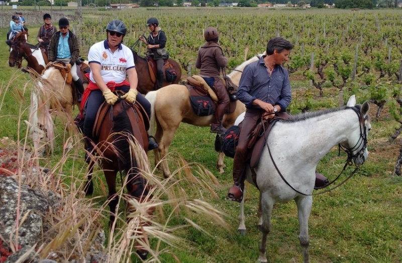 horse ride in bordeaux