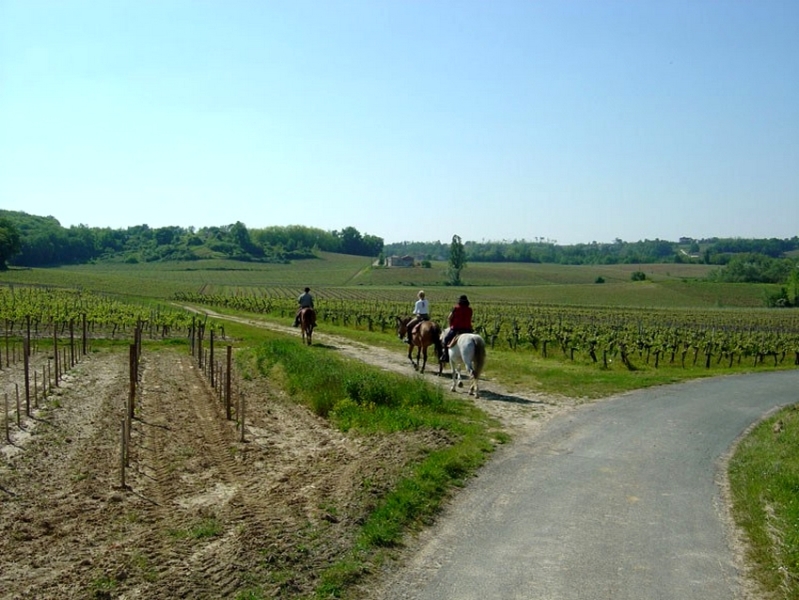 horse riding in bordeaux