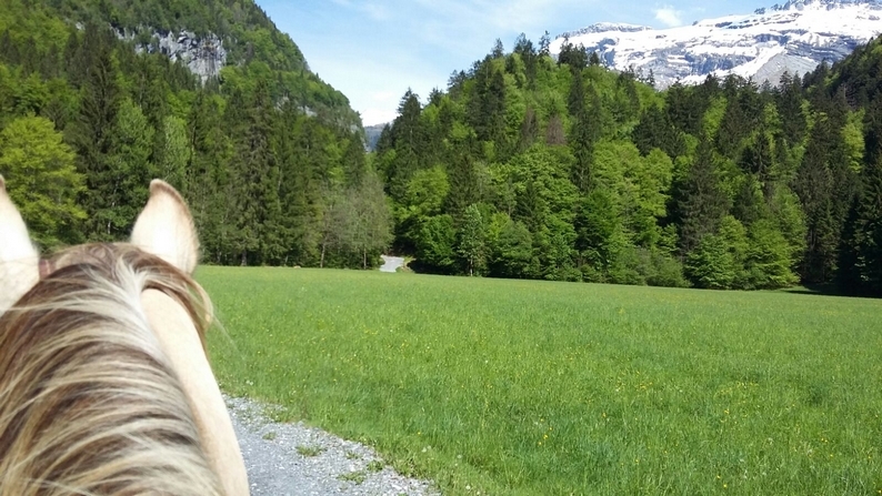 rando equestre savoie