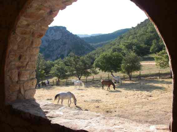 equestrian trail ride in provence