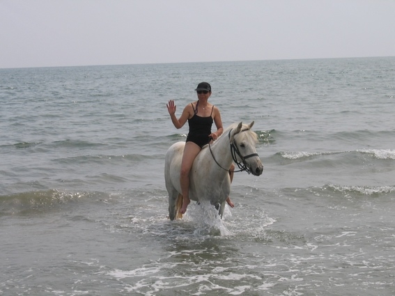 horseback trail ride in camargue