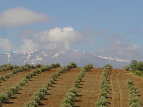 horseback riding trip in andalusia