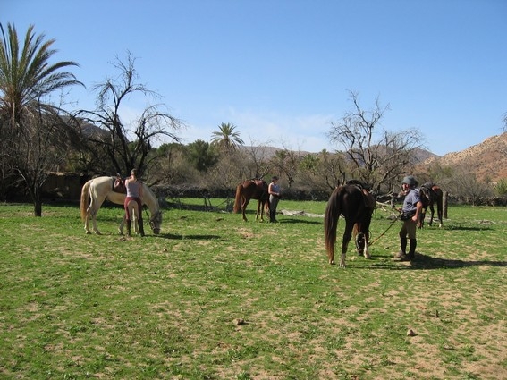 le maroc a cheval avec cap rando