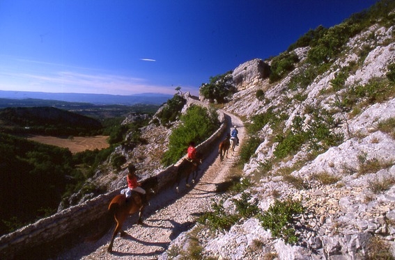 inn to inn horse riding trip in provence