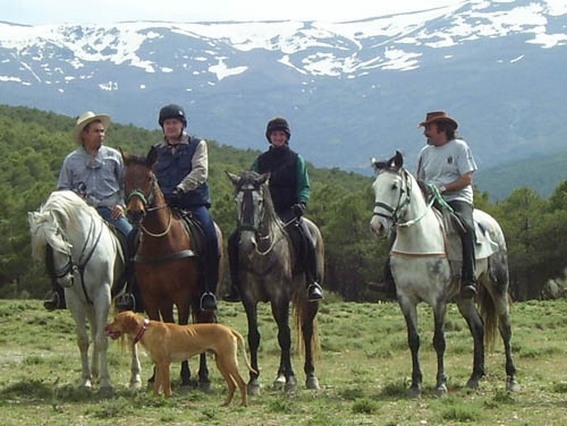 horse riding trip in andalusia