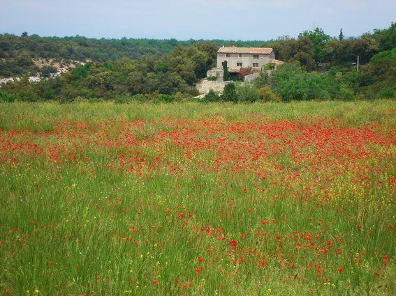 multi day horse trip south of france