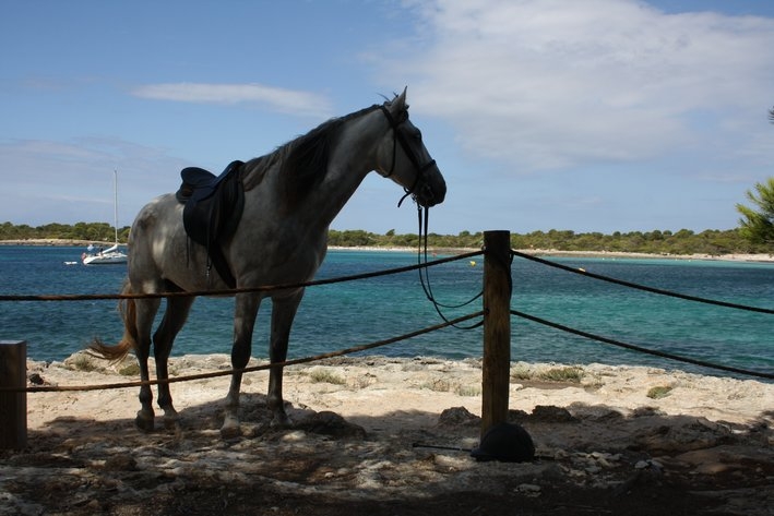 horse riding in minorca