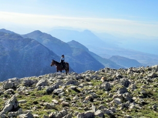 Randonnée à cheval en Sicile