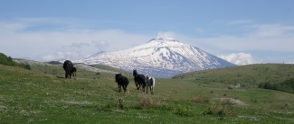 randonnee a cheval en sicile