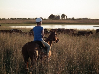 a cheval avec les gauchos en argentine