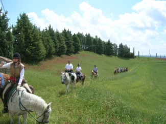 rando cheval toscane