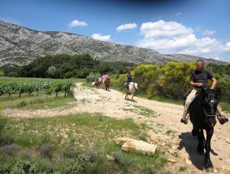 rando a cheval dans la montagne sainte victoire