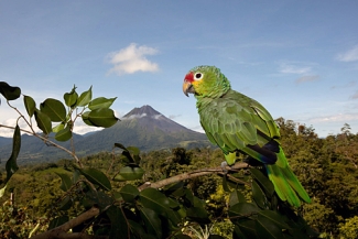 randonnée à cheval au Costa Rica