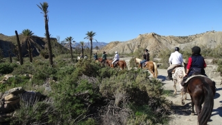 rando a cheval Andalousie Espagne