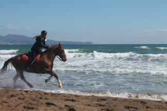 randonnee endurance a cheval Espagne