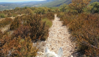 rando à cheval automne