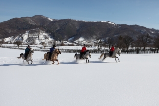 rando cheval dans la neige en Roumanie