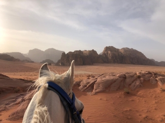 rando à cheval Jordanie