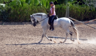 stage équitation en Espagne