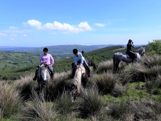 rando cheval Irlande