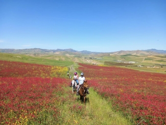 Rando à cheval en Sicile