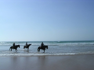 rando a cheval au Maroc