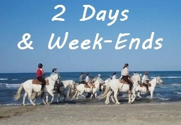 equestrian weekend in Provence or Camargue