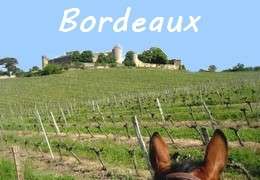 Horse riding holiday Bordeaux