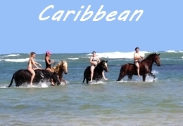 Caribbean horse riding holiday