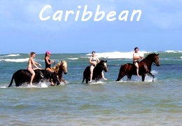 Caribbean horse riding holiday