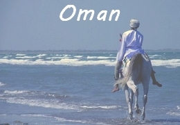 Oman equestrain holiday