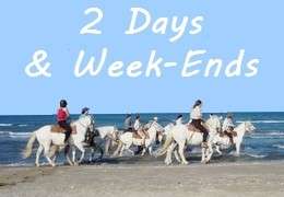 equestrian weekend in Provence or Camargue