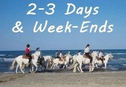 equestrian weekend in Provence or Camargue