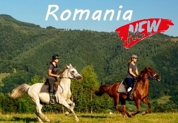 equestrian vacation in Romania