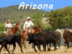 Arizona horse riding