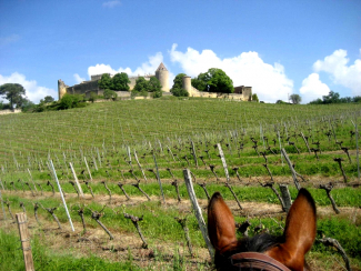 wine horseback riding