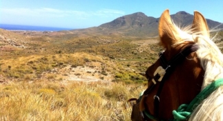 Horse riding in Andalucia