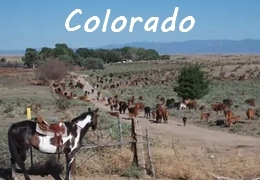 Colorado horse riding