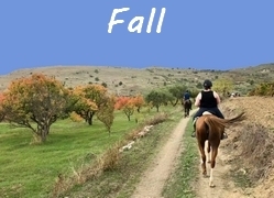 horse riding at fall