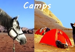 Jordan equestrian holiday