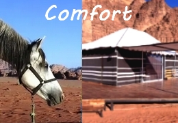 comfortable horse ride in Jordan