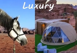 luxury equestrian vacation in Jordan