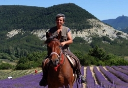 lavender provence horseback riding